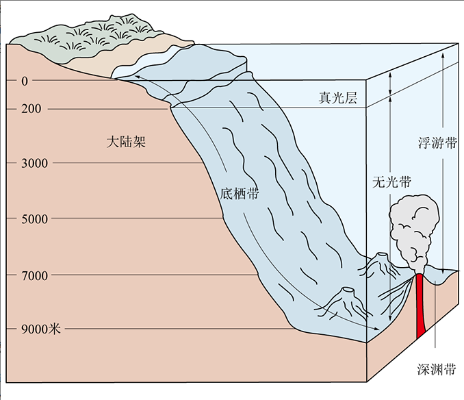 海洋真光層