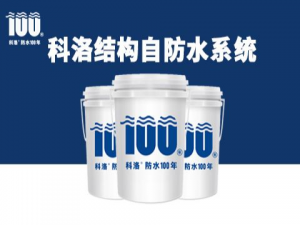 混凝土結(jié)構(gòu)自防水技術(shù)規(guī)范