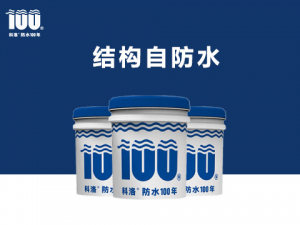 結(jié)構性防水?