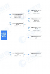 內(nèi)蒙古貴龍實業(yè)有限公司